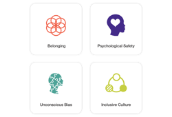Inclusion & Belonging Starter Package: Belonging, Psychological Safety, Unconscious Bias, and Inclusive Culture.