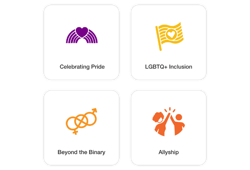 Pride Package: Celebrating Pride, LGBTQ+ Inclusion, Beyond the Binary and Allyship.